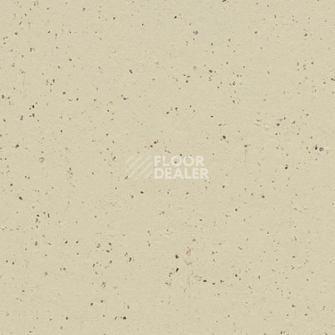 Линолеум Forbo Marmoleum Solid Cocoa 3584-358435 white chocolate фото 1 | FLOORDEALER